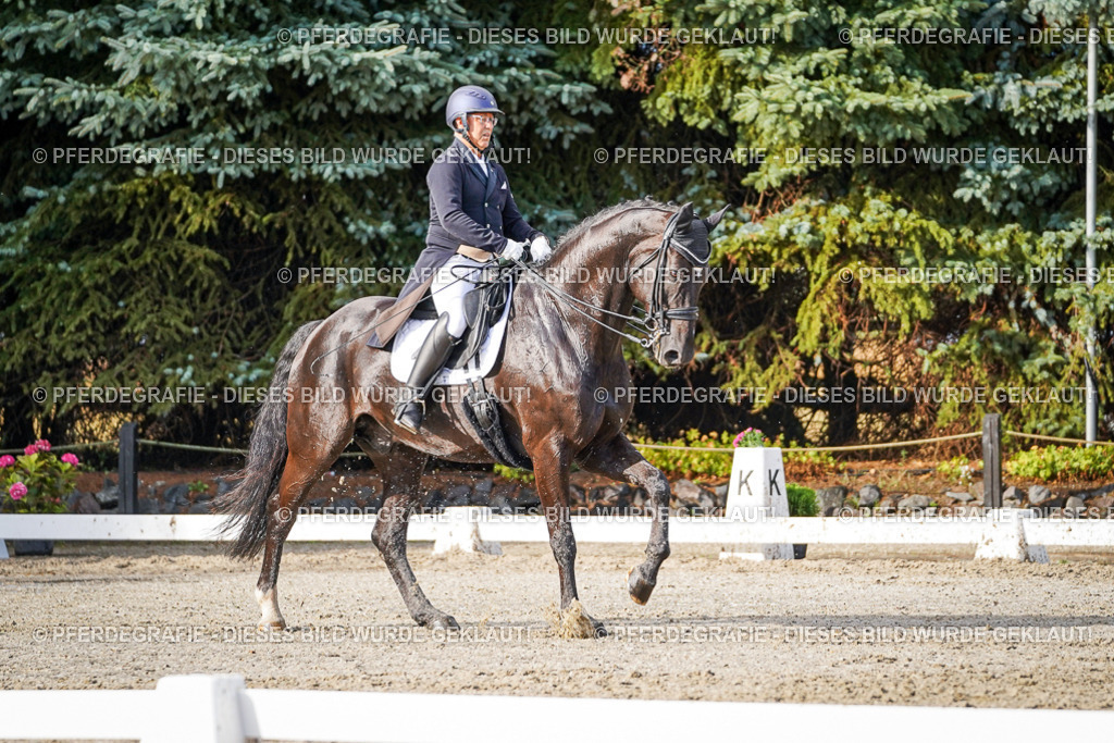 DSC00387 | Pferdegrafie