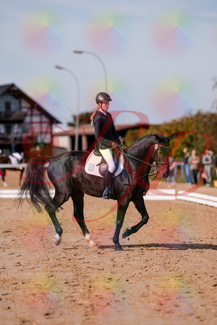 2026_10_03_Siefer-Hof_115747_Z81_98632005 | Professionelle Reitsport-, Turnier- und Eventfotografie von Robert Broda. Galerien mit ausgewählten und bearbeiteten Bildern direkt online ansehen und bestellen.