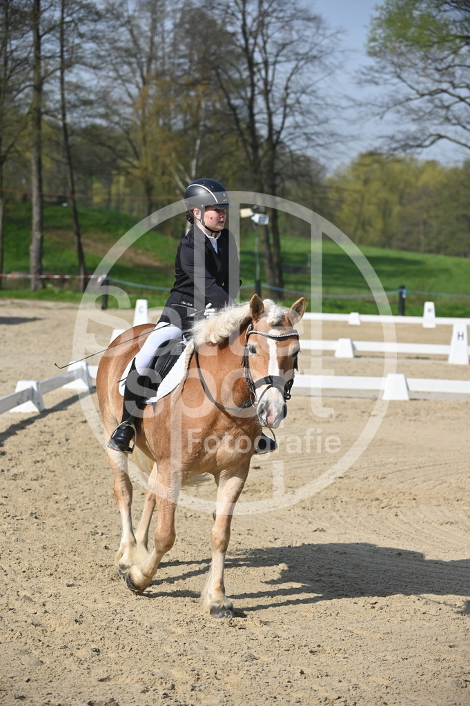 DSC_0333 | sattelsport - Realisiert mit Pictrs.com