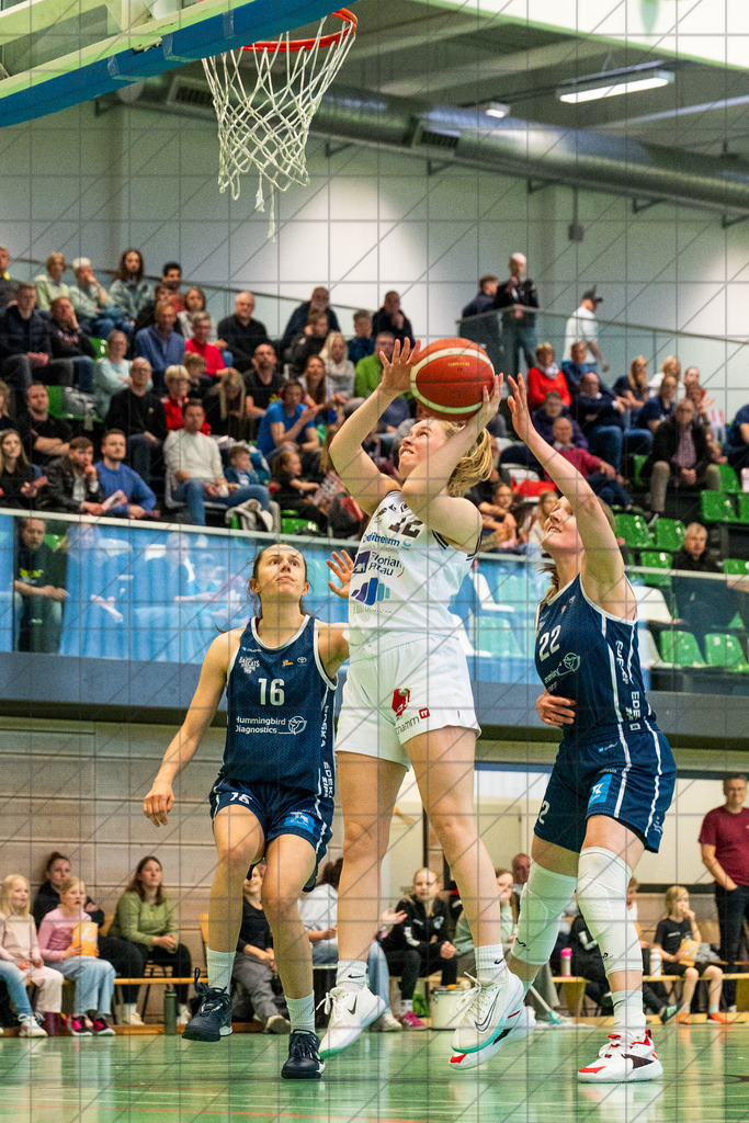2. DBBL Nord 25/26 | PlayOff 1/4-Finale Spiel 1 | BBC Osnabrück vs. USC Bascats Heidelberg | 19.04.26: 2. DBBL Nord 25/26 | PlayOff 1/4-Finale Spiel 1 | BBC Osnabrück vs. USC Bascats Heidelberg / Osnabrück / Deutschland  //   CREDIT:www.bullenfotos.de, Martin König, Hörner Weg 40, D-49078 Osnabrück, +4917663732967 // Nutzung und Weitergabe nur zu den vereinbarten Zwecken. Presseanfragen an Ersteller. Alle Rechte beim Ersteller. Honorierung nach MFM. - Realisiert mit Pictrs.com