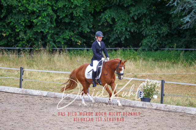 DKP47045 | Turniersportfotografie; Pferdefotografie; Dressurfotografie