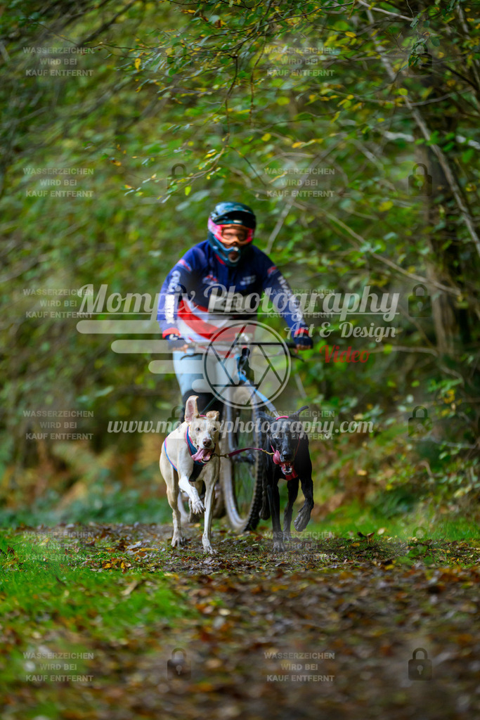 MompixPhotography_20TSB_E1_DS2-11 | PayLife