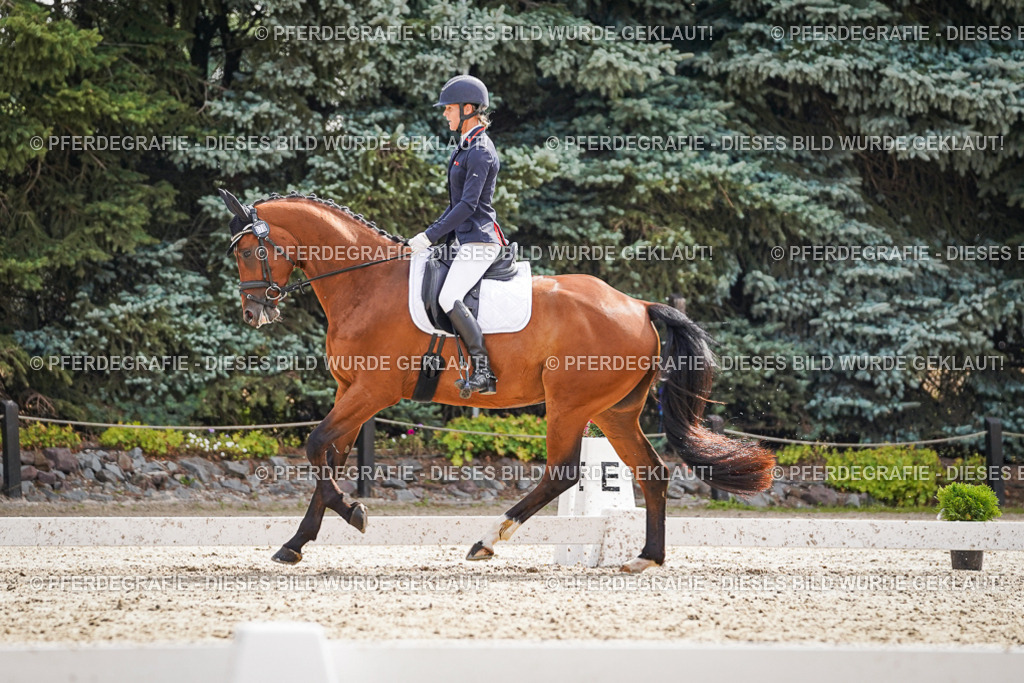 DSC07536 | Pferdegrafie