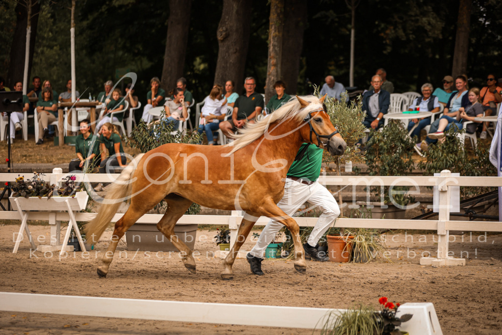 06.So00077 | Leoni Ertmer Photography - Realisiert mit Pictrs.com