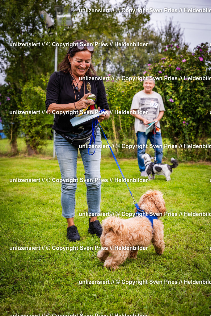 Sven Pries | 2024-09-22 - Hunderennen Baden-BadenPudelverein - Realisiert mit Pictrs.com