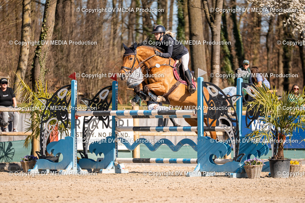 Kranichstein Tag 2-1026 | dv-media-shop - Realisiert mit Pictrs.com