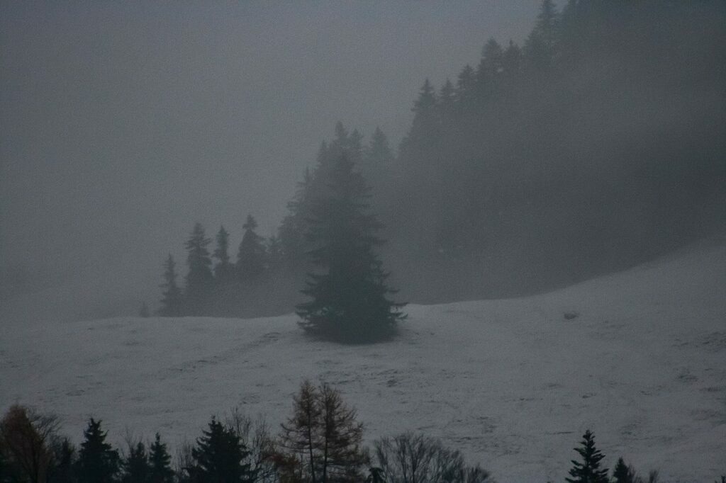 PSX_20221208_225955 | mtkfoto_ - Realisiert mit Pictrs.com