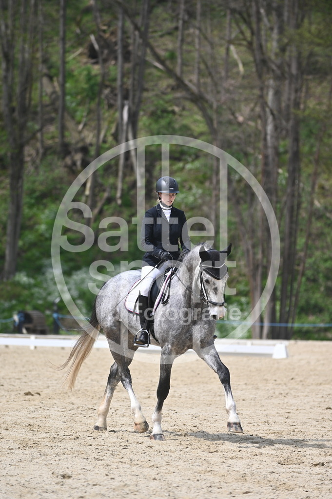 DSC_3496 | sattelsport - Realisiert mit Pictrs.com