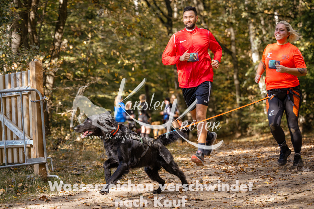 1245_ZZ96016 | kk-dogfotos