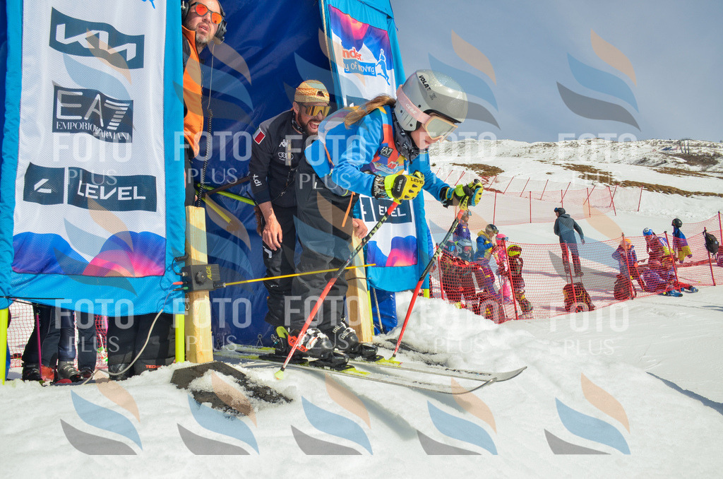 _ELE4485 | holidayphoto