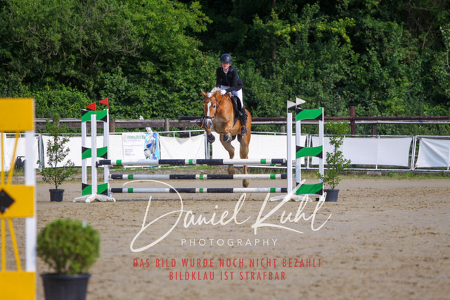 DKP41110 | Turniersportfotografie; Pferdefotografie; Dressurfotografie