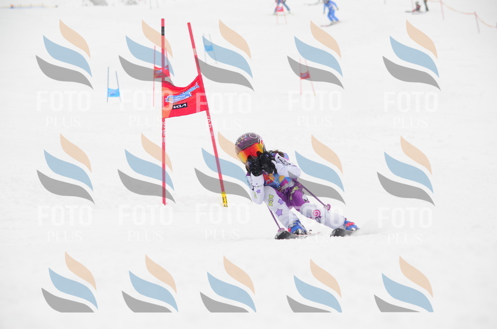 C0607 | holidayphoto