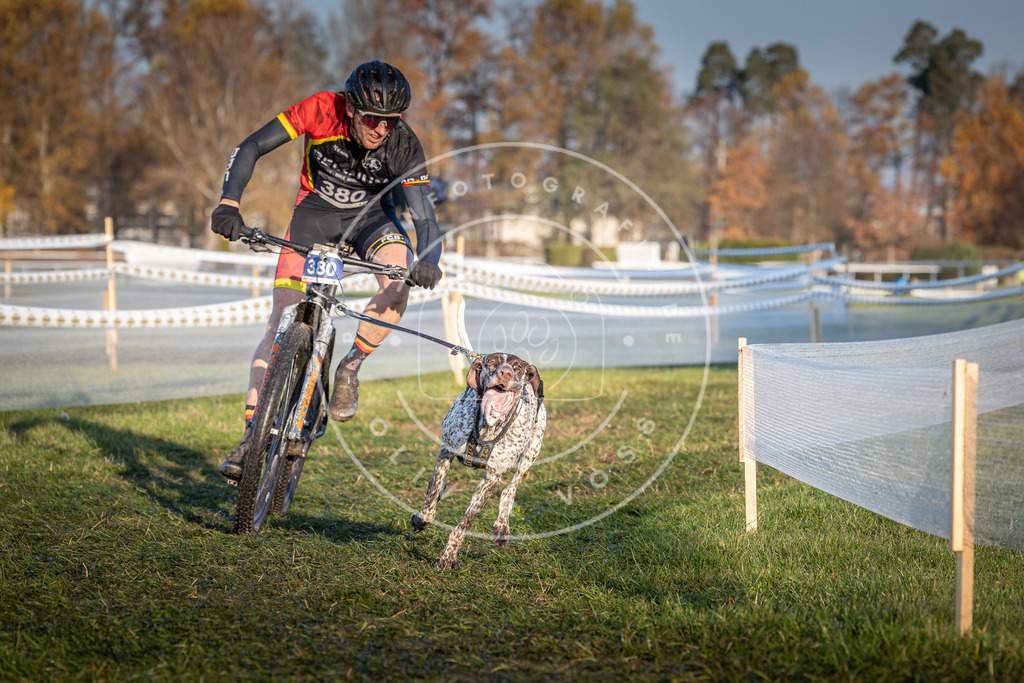 CaniXpix_0L8A3727 | Hundefotografie, Tierfotograf, Pfotenfotografie, Fotoshooting Hund, Hunde Portrait, Hundesport, Hundeportraits, Heideshooting, Hunde, Sportfotograf, Hundefotograf, Turnierhundsport, THS,  - Realisiert mit Pictrs.com