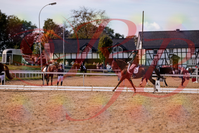 2026_10_03_Siefer-Hof_133119_Z81_84730614 | Professionelle Reitsport-, Turnier- und Eventfotografie von Robert Broda. Galerien mit ausgewählten und bearbeiteten Bildern direkt online ansehen und bestellen.