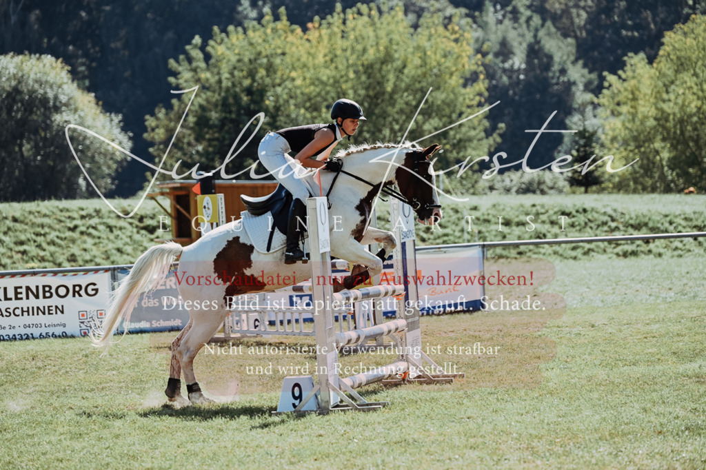 DSC_6070 | Pferde- und Turnierfotografie in Westsachsen. Pferdeportraits, Auftragszeichnungen und intuitive Kunst.