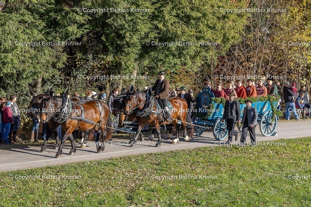 LBT25-222 | foto-bettina-krinner - Realisiert mit Pictrs.com