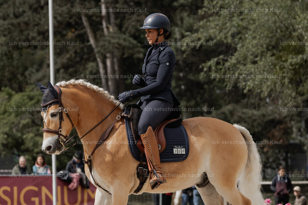 WE_DR_Stoib_308_PI2025_237 | Pferd International München 2025