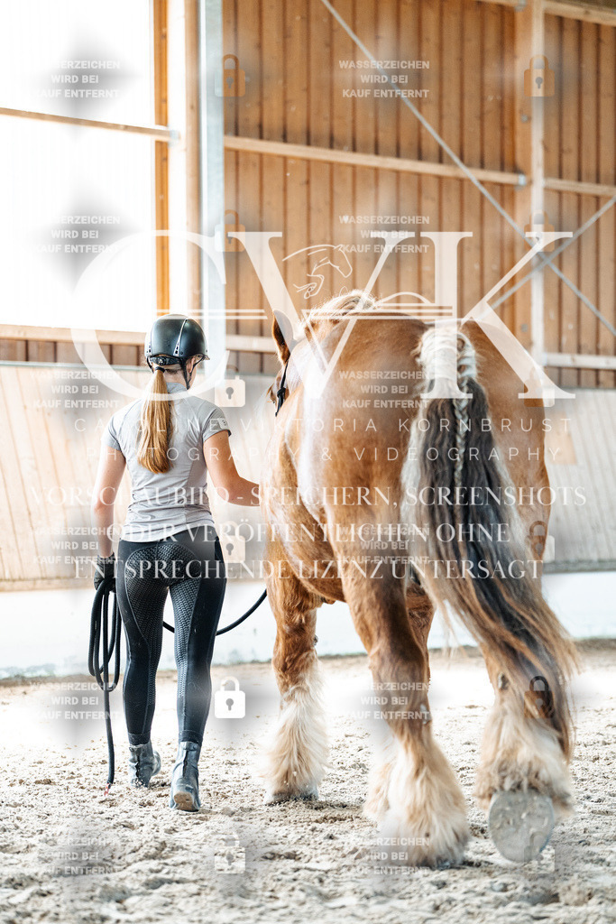 CK906435 | Turnierfotografie Pferdefotografie Trier Rheinland-Pfalz Pferdesport Reitsport Tierfotografie Sportfotografie Pferdevideo Pferdevideografie Equestrianvideography equestrianphotography  - Realisiert mit Pictrs.com