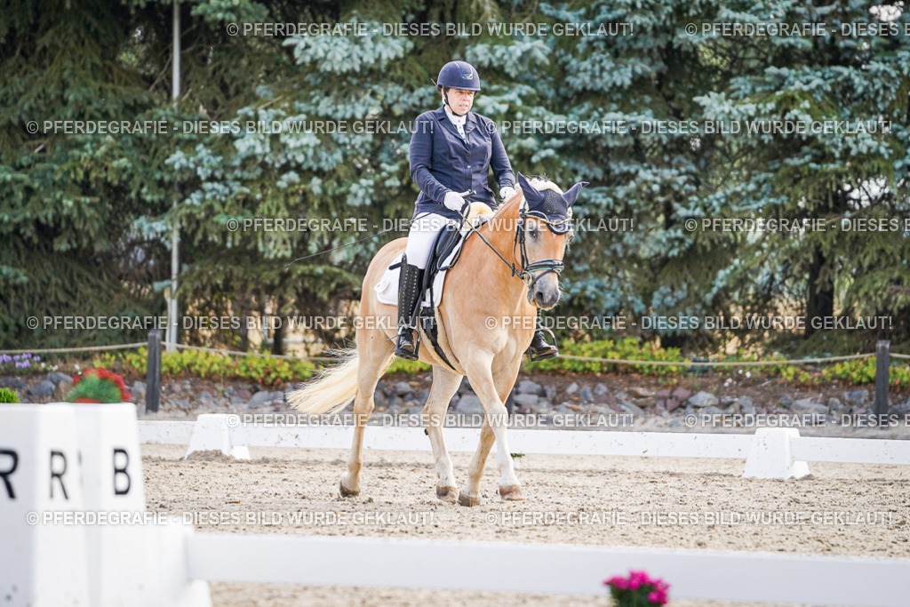 DSC00643 | Pferdegrafie