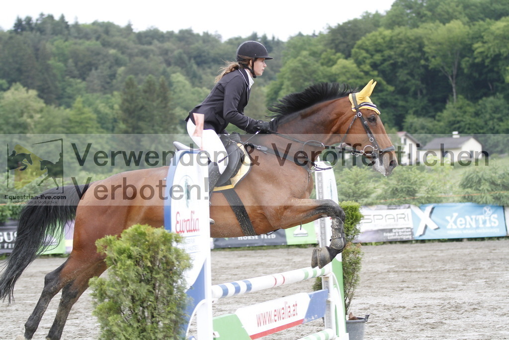 _MG_3648 | equestrian-live-com