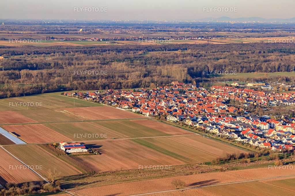 Steegmüller Erdbeergarten | Luftbild: Steegmüller Erdbeergarten in Offenbach an der Queich im Bundesland Rheinland-Pfalz in Deutschland. Foto: IMG_62452.jpg vom 24.02.2014 durch Werner Riehm/FLY-FOTO.de - Realisiert mit Pictrs.com
