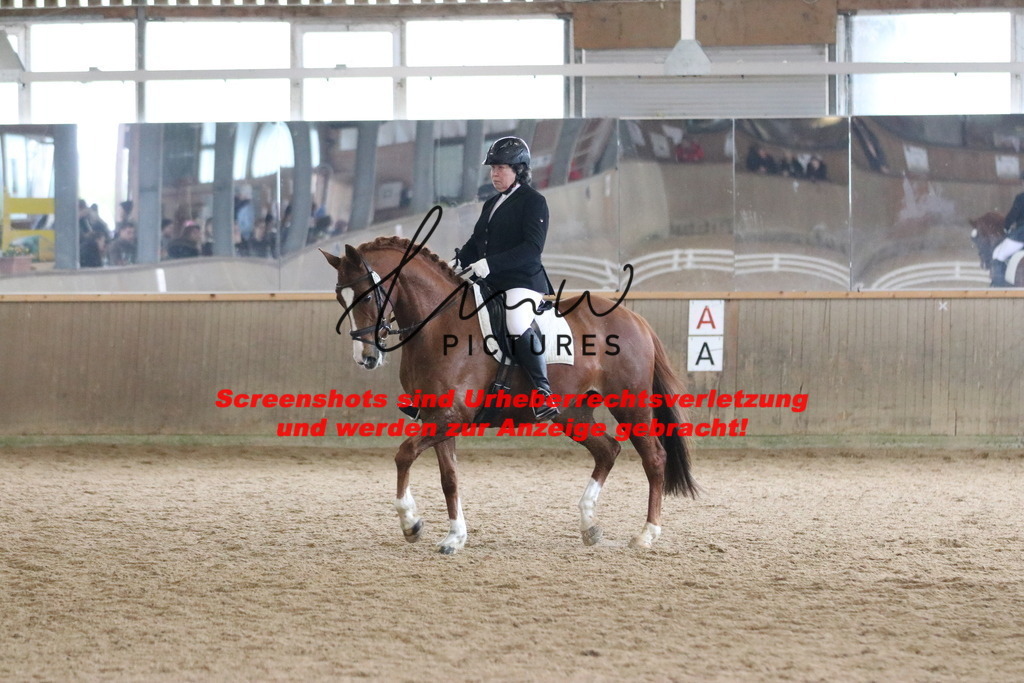 IMG_8024 | lmwpictures - Realisiert mit Pictrs.com