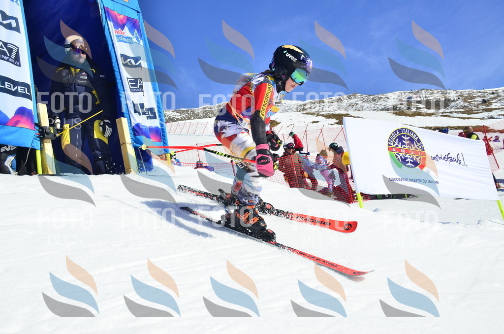 _ELE9708 | holidayphoto