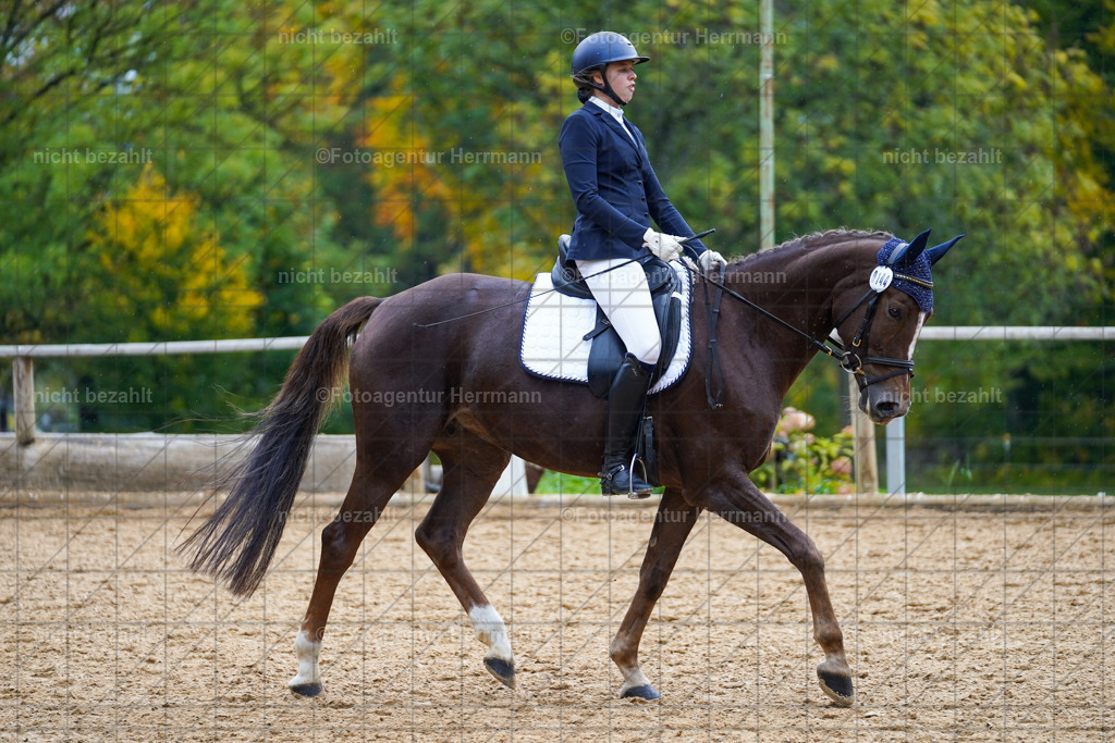 20221008-FAH01979 | Diessen am Ammersee, 2022, Dressur- und Springturnier, Reitsportbilder, Turnierfotografen Bayern, Pferdefotografen, Fotoagentur Herrmann, Turnierbilder
