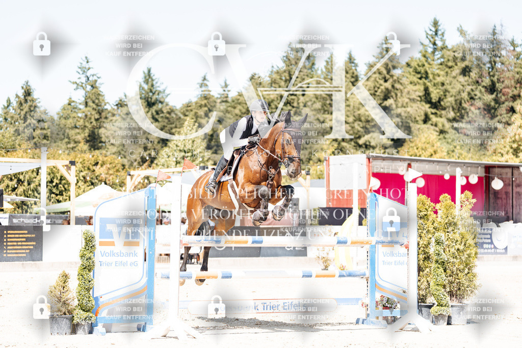 CK900464 | Turnierfotografie Pferdefotografie Trier Rheinland-Pfalz Pferdesport Reitsport Tierfotografie Sportfotografie Pferdevideo Pferdevideografie Equestrianvideography equestrianphotography  - Realisiert mit Pictrs.com