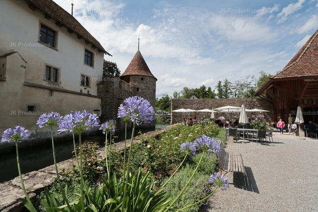 Schloss Park Halwil | Fotos, Fotos kaufen,  Fotos von Stadt und Land, Fotos von Tieren. - Realisiert mit Pictrs.com