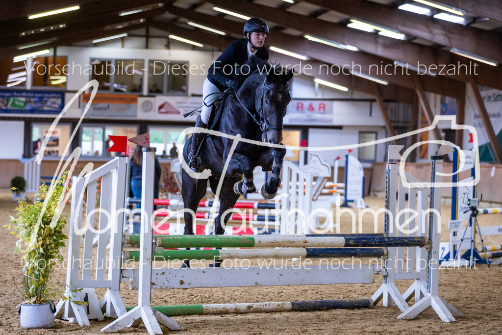 Sth-Gewöhnung-005 | MomenTaufnahmen Pferdesportfotos