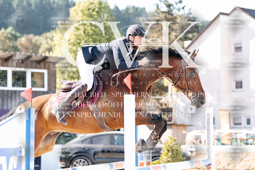CK904593 | Turnierfotografie Pferdefotografie Trier Rheinland-Pfalz Pferdesport Reitsport Tierfotografie Sportfotografie Pferdevideo Pferdevideografie Equestrianvideography equestrianphotography  - Realisiert mit Pictrs.com