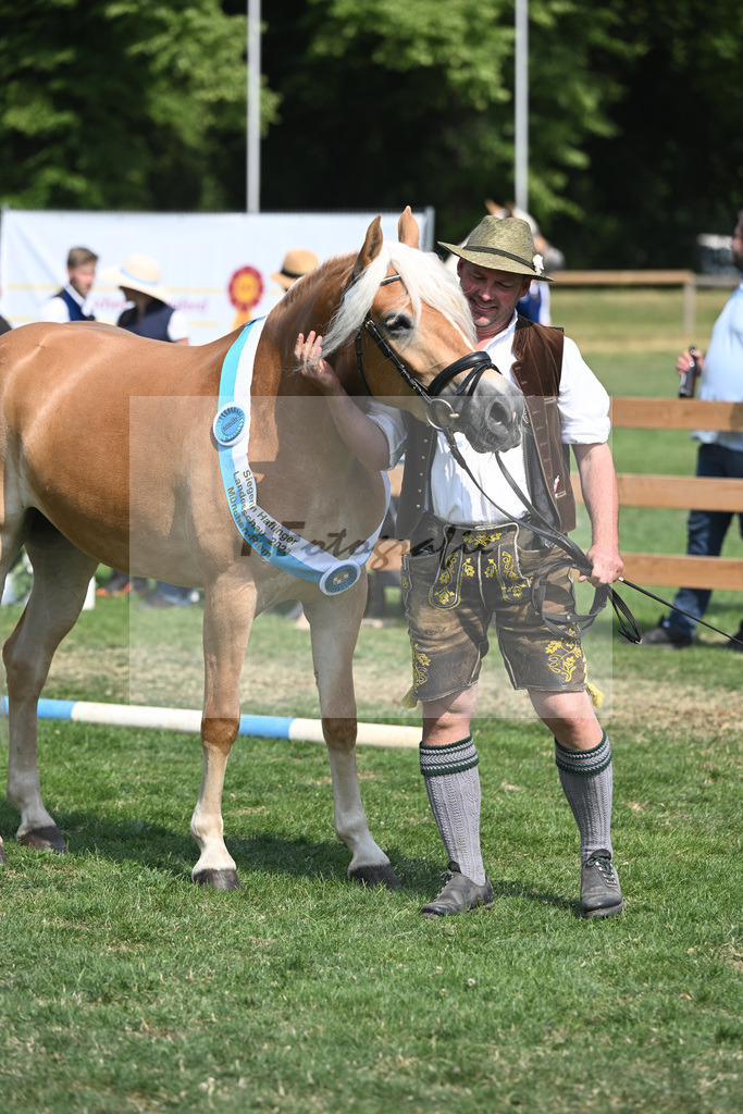 Kat-Nr. 9 Giorgia G_Grandauer_20231503 | hf-fotografie - Realisiert mit Pictrs.com