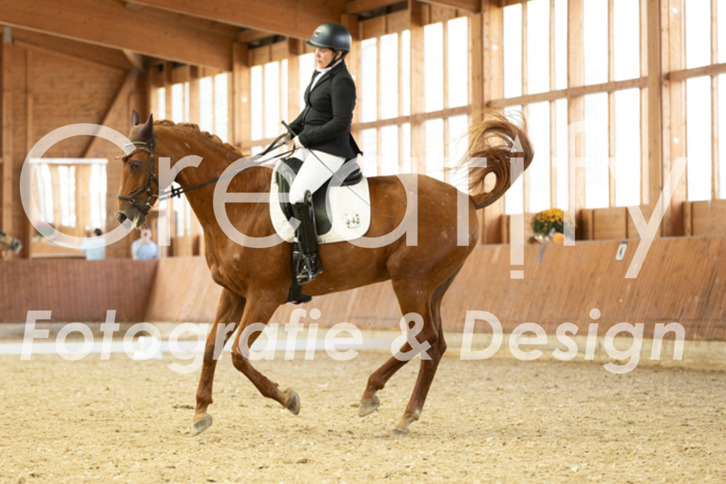 IMG_5827 | Creatify Fotografie