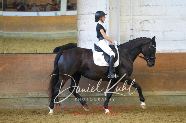 DKP44275 | Turniersportfotografie; Pferdefotografie; Dressurfotografie