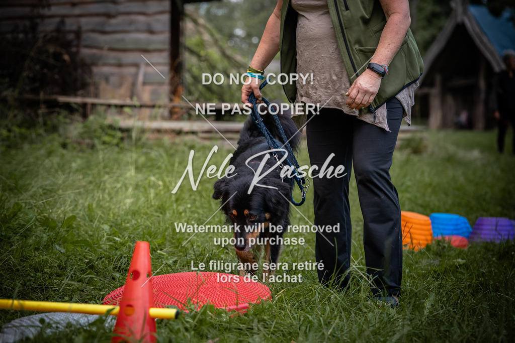 nelerasche_SoEarlyDog_124 | nelerasche