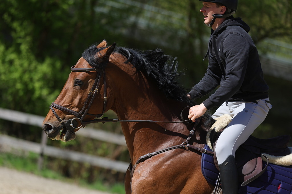 0P6A8136 | Willkommen bei Brunnmayr - Design & Fotografie – Ihrem Spezialisten für Reitturniere und Pferdeveranstaltungen in Oberösterreich, Salzburg und Bayern! Seit über 17 Jahren sind wir leidenschaftlich dabei.