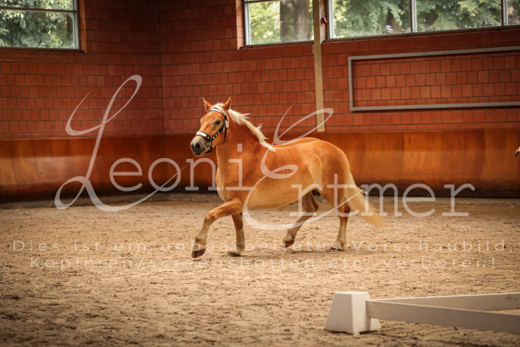 SaFL00273 | Leoni Ertmer Photography - Realisiert mit Pictrs.com