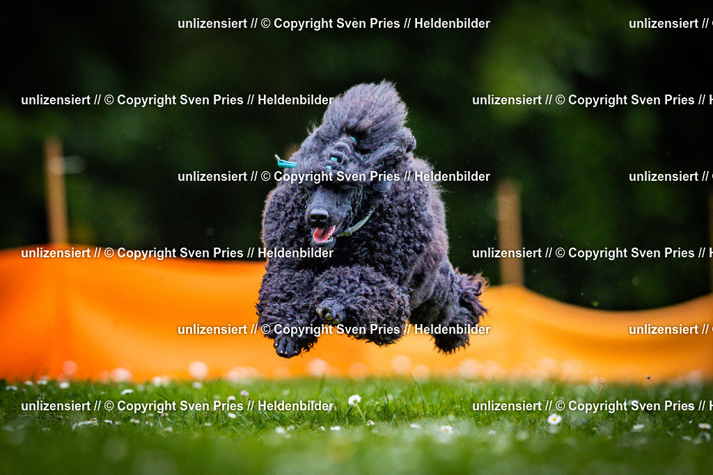 Sven Pries | 2025-05-29 - Pudelrennen KA-Durlach - Realisiert mit Pictrs.com