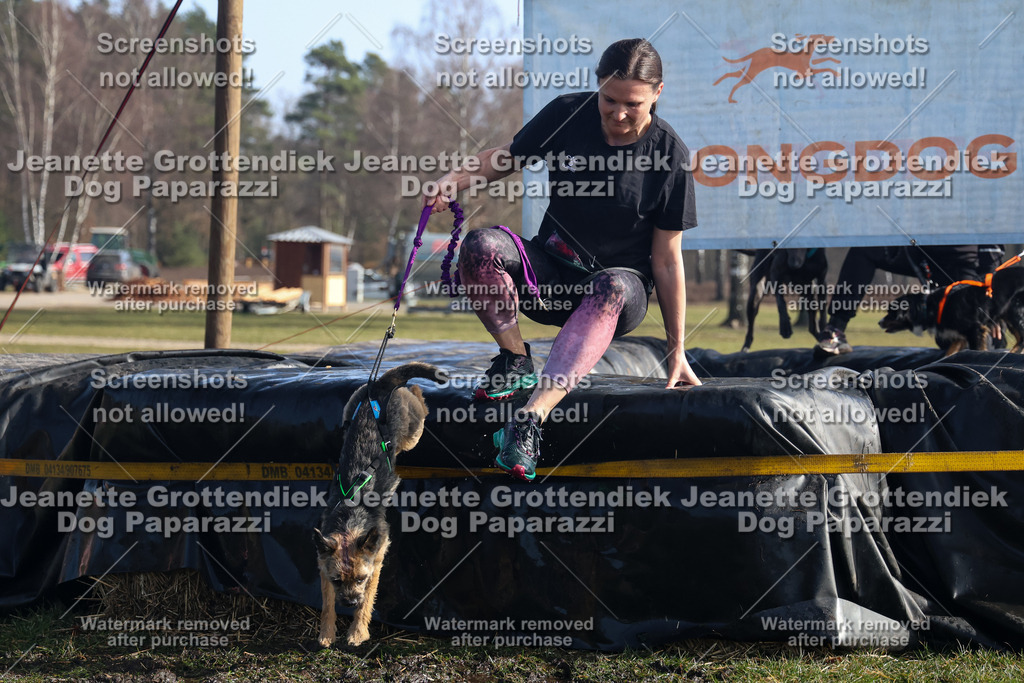 Dog Paparazzi - Strongdog North Mrz26-1411 | Dog Paparazzi Jeanette Grottendiek Fotografie & Videografie - Realisiert mit Pictrs.com