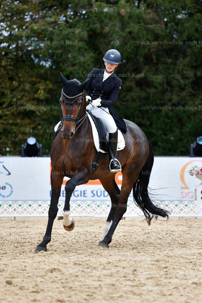 6-086-AMATUER-DRESSUR S_  -StoibPH-3582 | working equitationturnier fotograf videograf stoibphotography marixx film working equitation deutschland reitsport turnierfotografie eventfotografie equestrian events