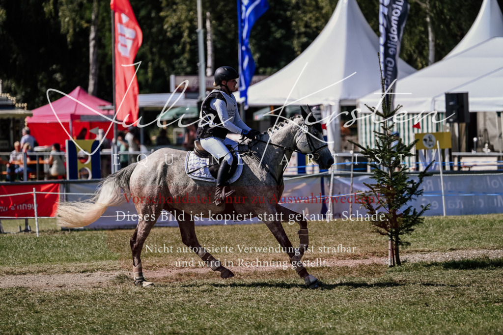DSC_1403 | Pferde- und Turnierfotografie in Westsachsen. Pferdeportraits, Auftragszeichnungen und intuitive Kunst.