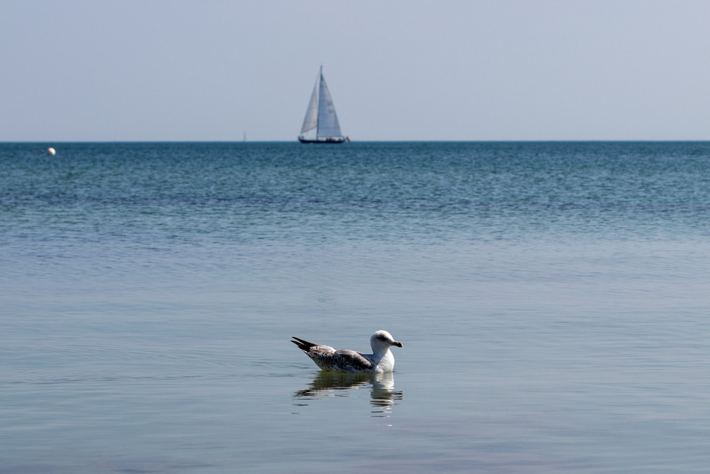 IMG_6272 | codoma - Realisiert mit Pictrs.com