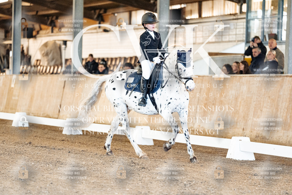 CK906400 | Turnierfotografie Pferdefotografie Trier Rheinland-Pfalz Pferdesport Reitsport Tierfotografie Sportfotografie Pferdevideo Pferdevideografie Equestrianvideography equestrianphotography  - Realisiert mit Pictrs.com