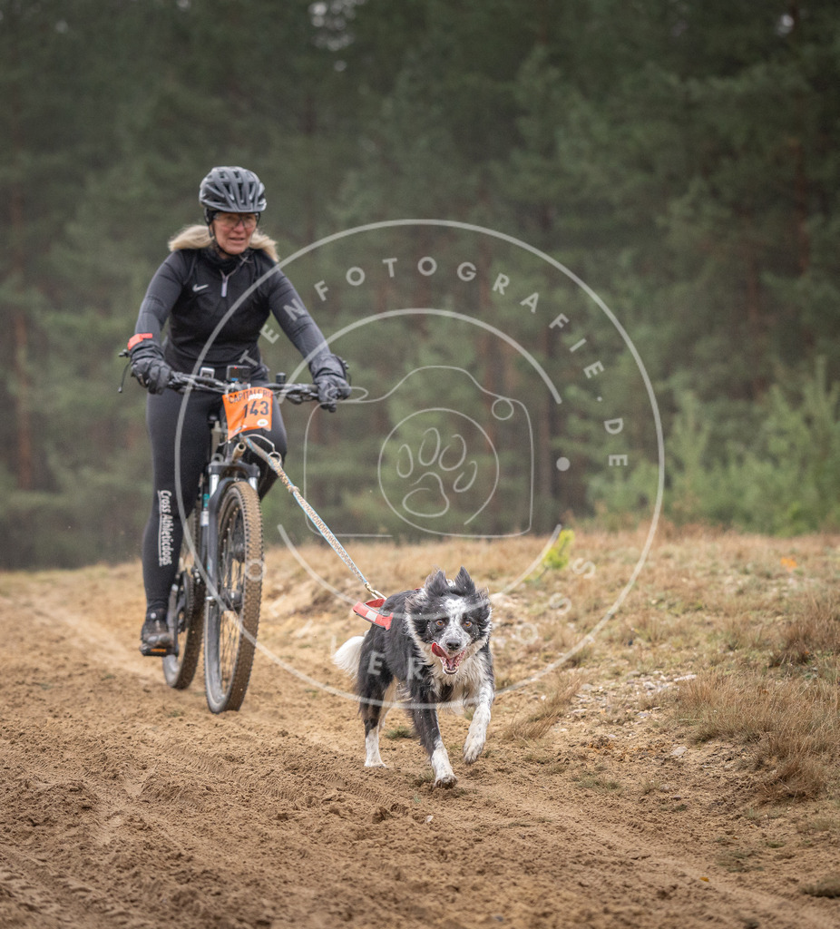 Pfotenfotografie_DV3A4047 | Hundefotografie, Tierfotograf, Pfotenfotografie, Fotoshooting Hund, Hunde Portrait, Hundesport, Hundeportraits, Heideshooting, Hunde, Sportfotograf, Hundefotograf, Turnierhundsport, THS,  - Realisiert mit Pictrs.com