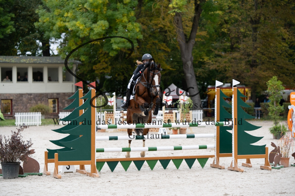 A7V09873 | Pferdefotograf