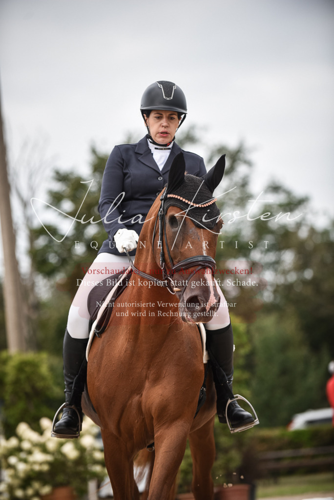 DSC_8379 | Pferde- und Turnierfotografie in Westsachsen. Pferdeportraits, Auftragszeichnungen und intuitive Kunst.