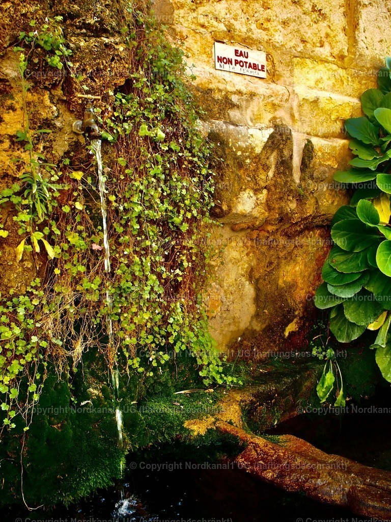 PA272093 | OLYMPUS DIGITAL CAMERA          - Realisiert mit Pictrs.com