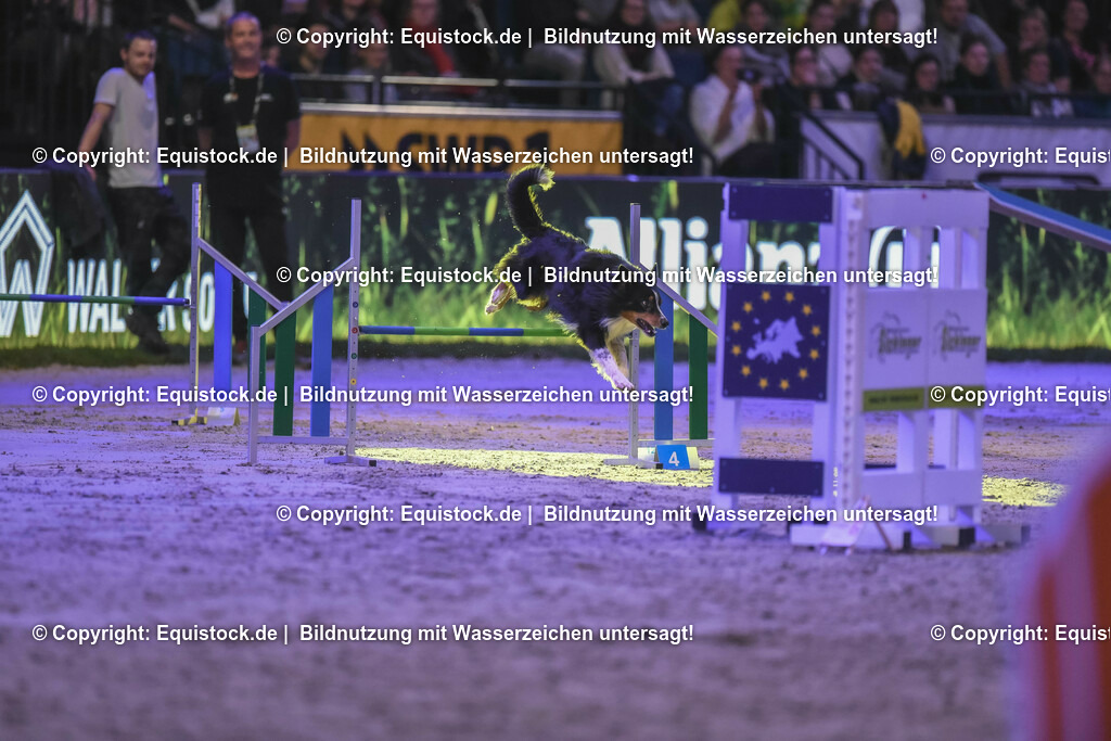 20231115_Dog-Agility_0094_TOMsPiC | Foto: Thomas Hartig