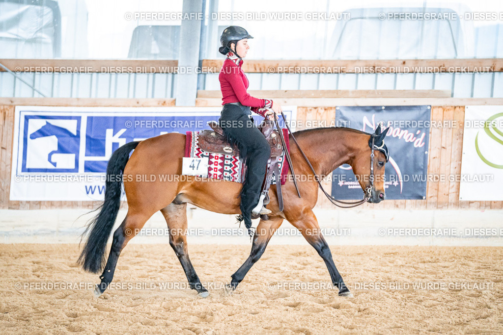 DSC02501 | Pferdegrafie